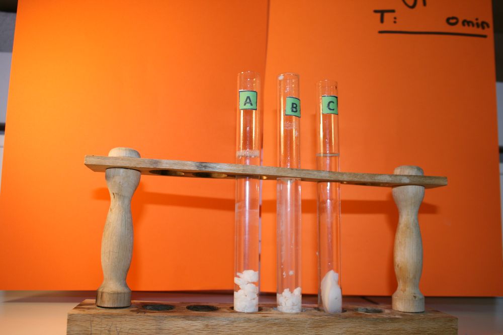 gal/LES_CINQUIEMES/ACTIVITE DIGESTION IN VITRO/Groupe_04/Groupe04_T_00h00min/Groupe04_T_00h_00min_17.JPG